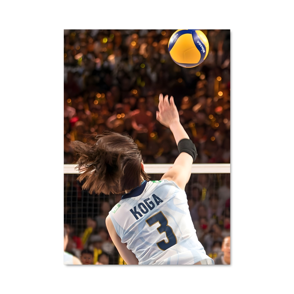 Poster Volleyball league